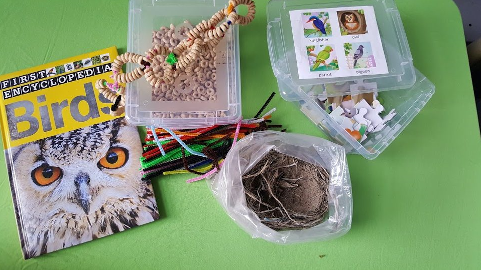 Bird Activities for Kindergarten - Hands-On Teaching Ideas