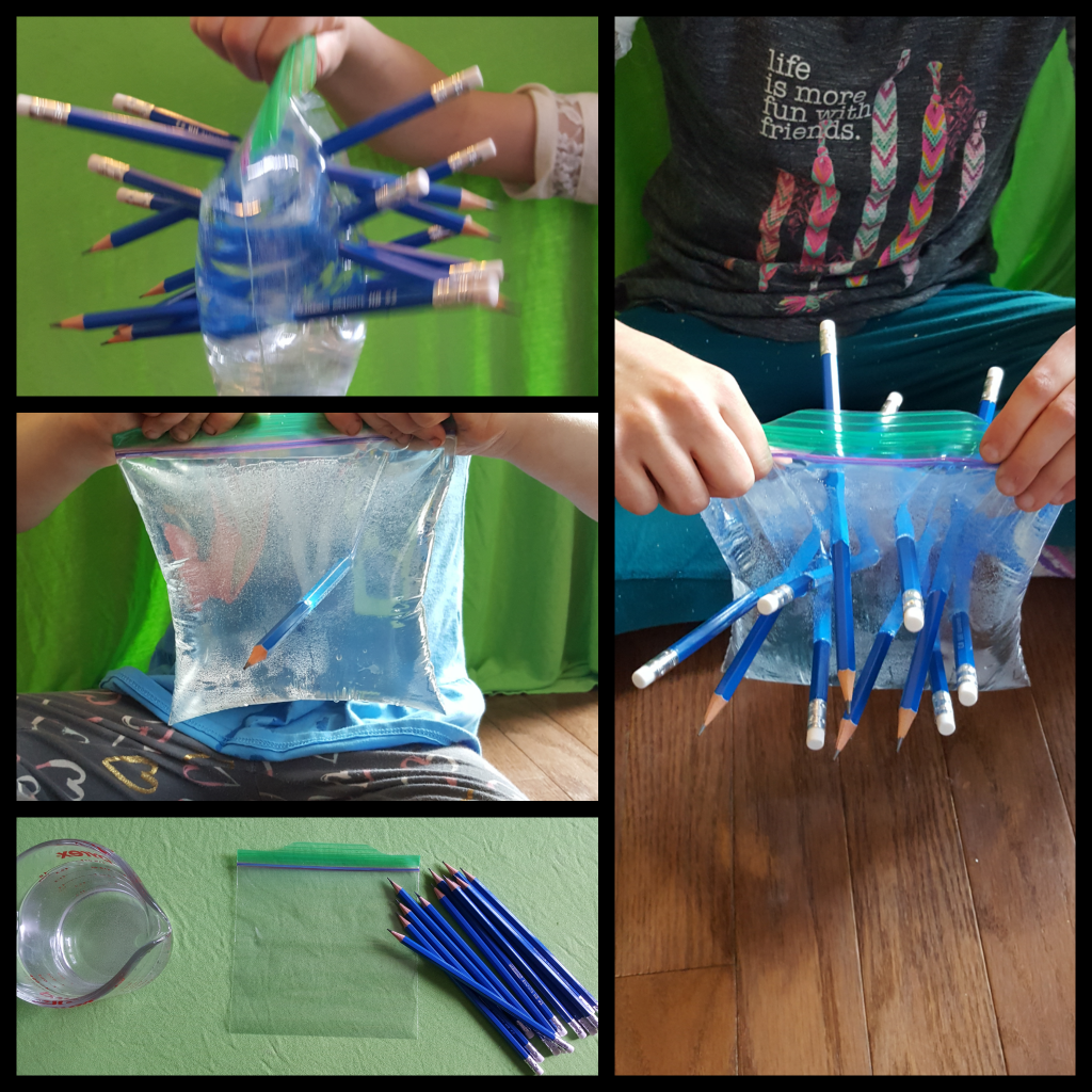 science experiments for kids shows a child holding a baggie with water and pencils stuck through it.