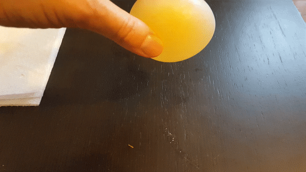bouncing egg