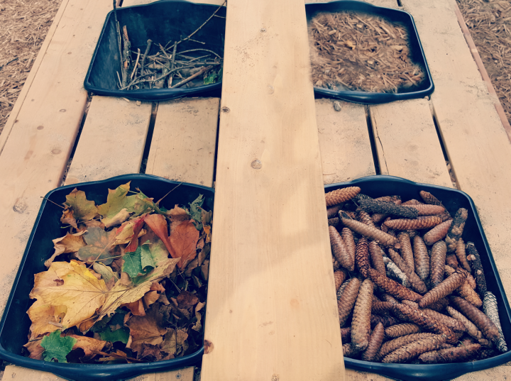 Outdoor Activities for Kids HandsOn Teaching Ideas Kindergarten