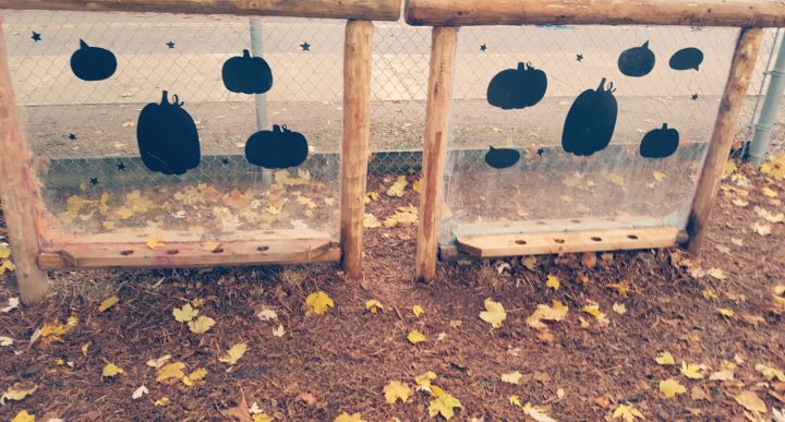 outdoor classroom ideas shows two plexiglass structures with black pumpkins on them.