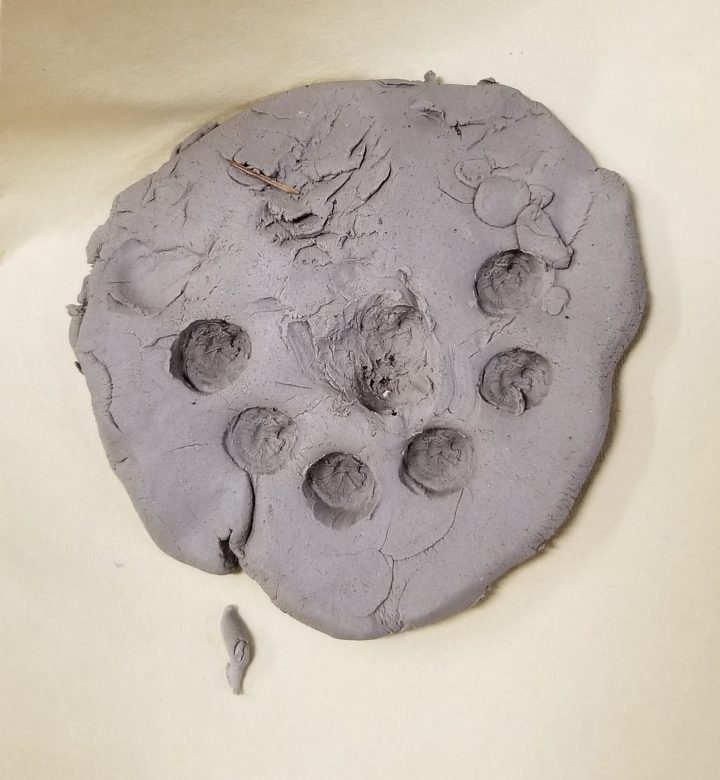 nature art shows a piece of clay with prints pushed on it.