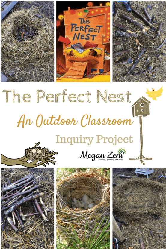 outdoor activity shows a collection of nests made from nature items.