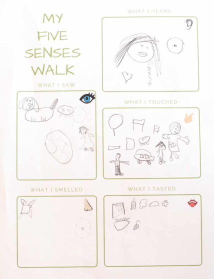 five senses book.
