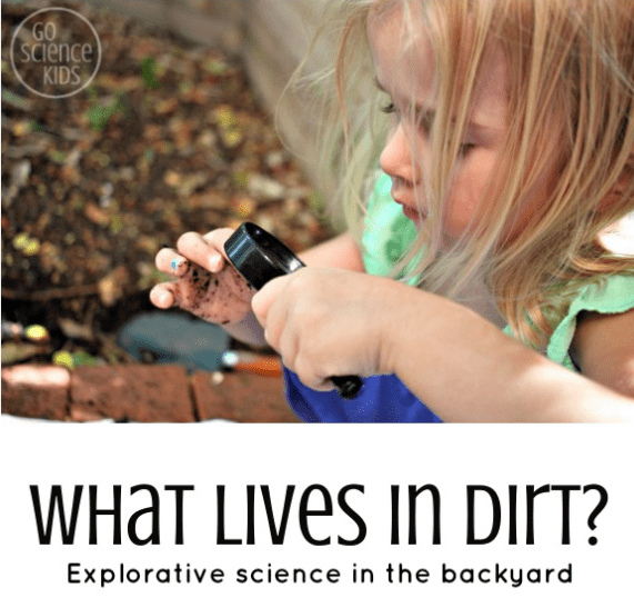 learning activity shows an image that says what lives in dirt.