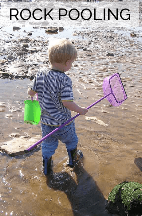 outdoor education shows a child rock pooling.
