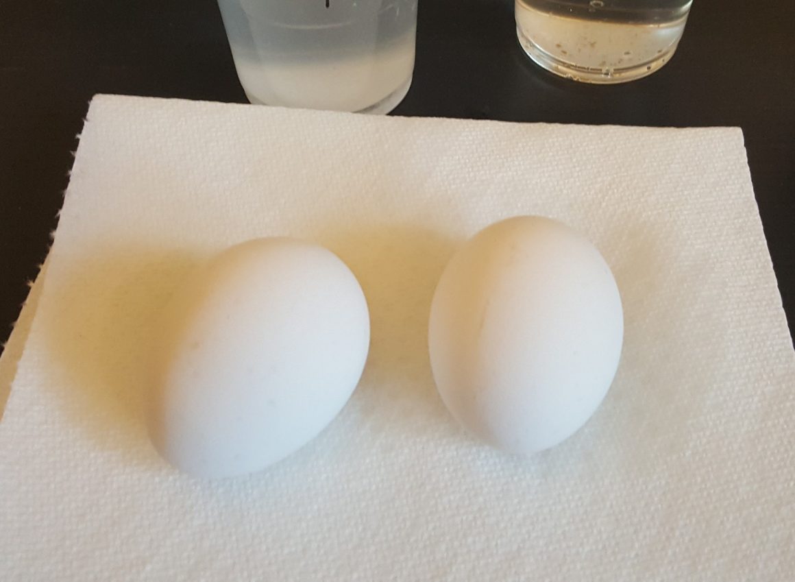 Egg And Toothpaste Experiment