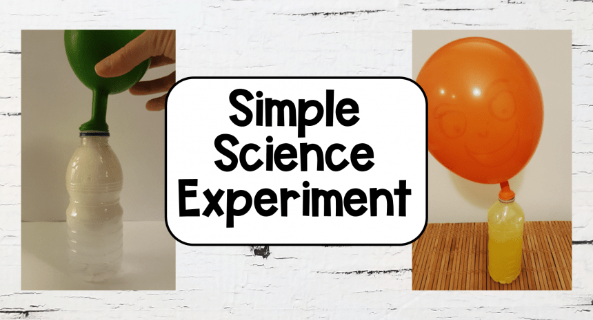 Easy Science Experiment for Kids