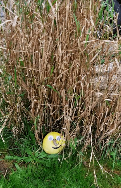 outdoor activities for kids shows a pumpkin with a face hiding in tall grass.