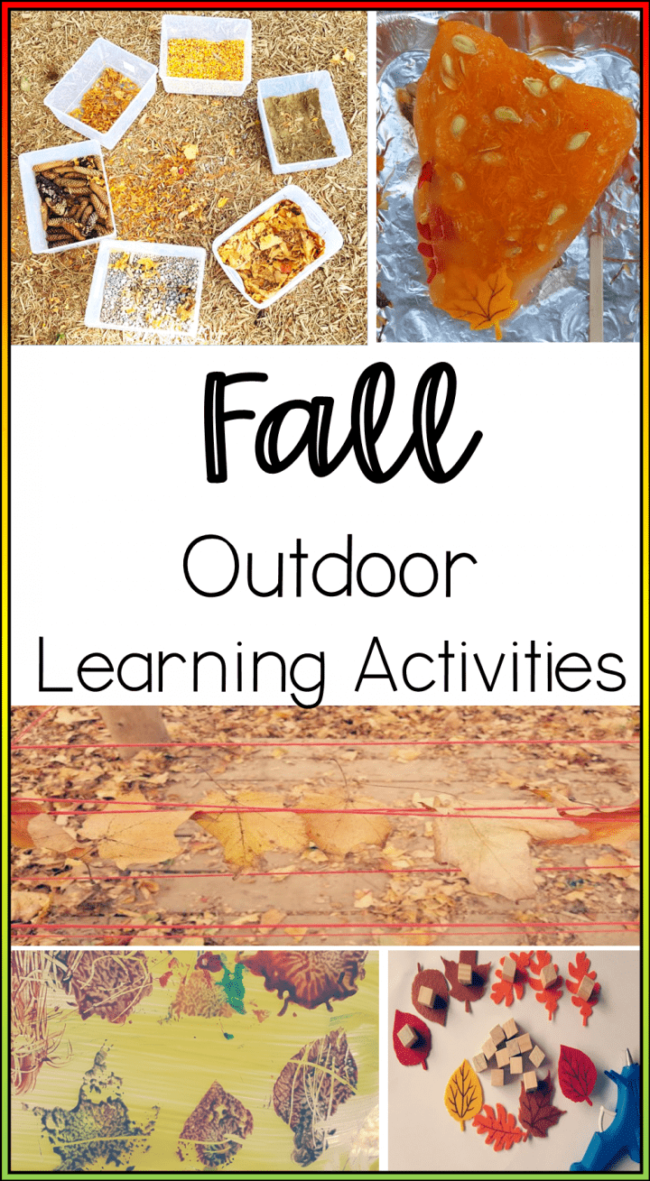 outdoor classroom shows pumpkin, leaves and outdoor activities.