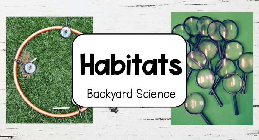 Science Activity Outdoor Habitats