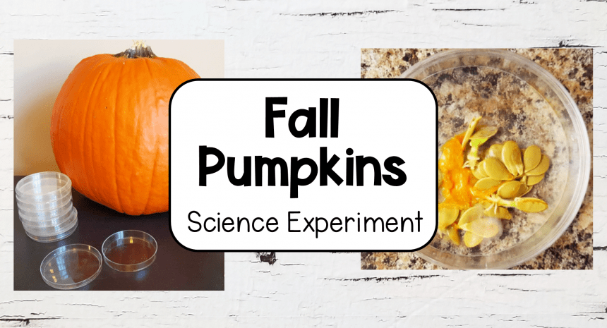 Pumpkin Science Experiments for Kids at Home or School