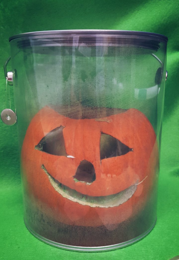 Pumpkin Science Experiment - Hands-On Teaching Ideas