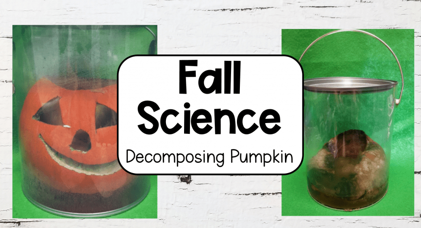 Pumpkin Science Experiment