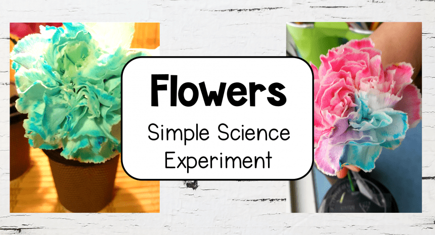 Simple Science Experiments and Worksheet
