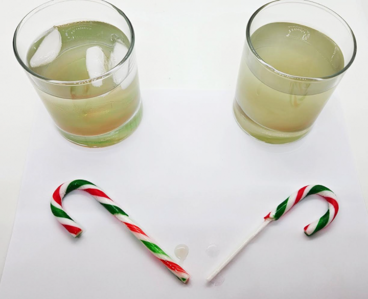 easy science projects with candy canes shows cups with water and the candy canes that were in them and the end dissolved off one of the candy canes.