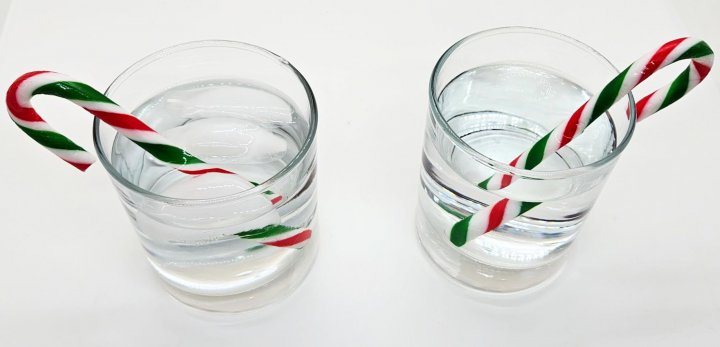 holiday science shows two cups with water and a candy cane in each.