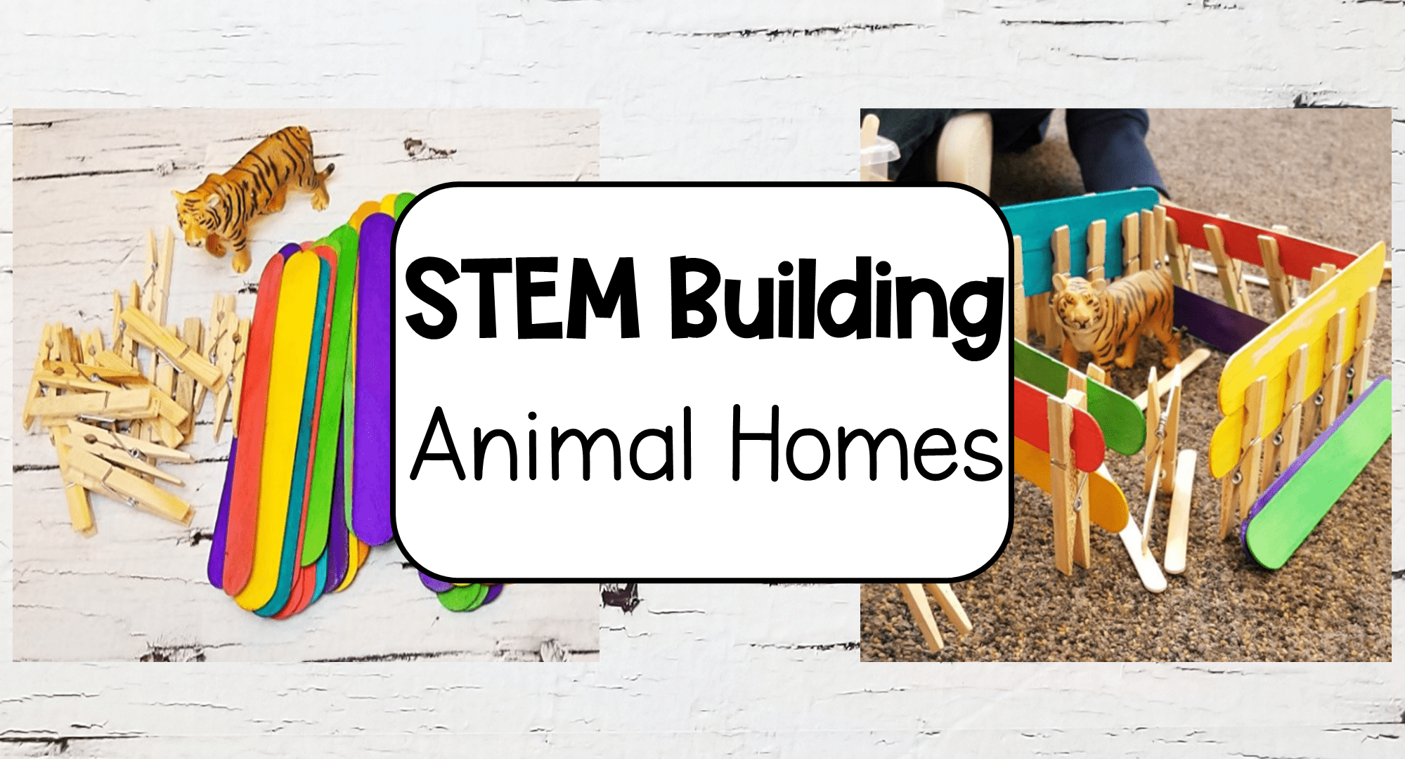 Animal STEM for Kids in Kindergarten and Primary -