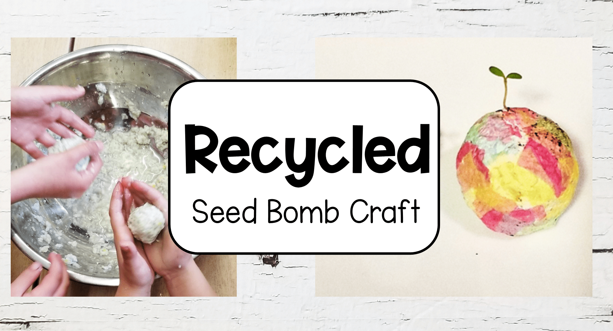 Recycled Seed Paper and Seed Bombs Perfect for End of School Year