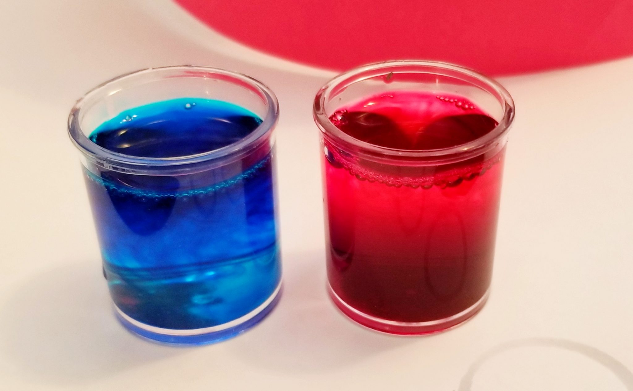 Science Experiments Kids will Love - Science + STEM