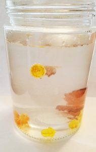 Easy Science Experiment for Kids - Hands-On Fun Hands-On Teaching Ideas