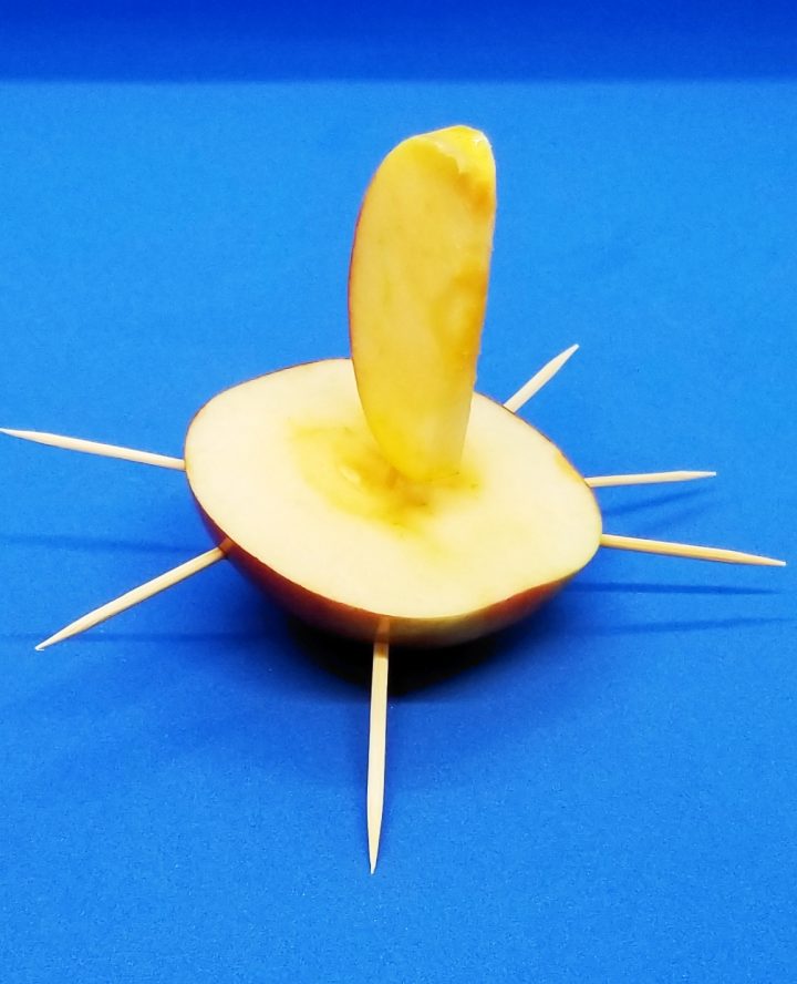 science experiments for kid shows a boat made from an apple and toothpick.