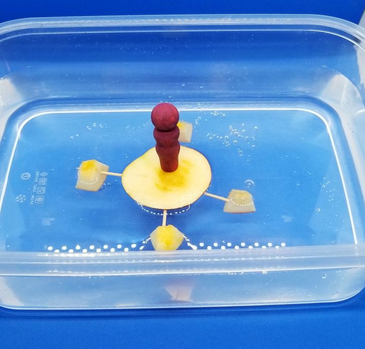 science experiments for kids shows an apple boat floating in water.