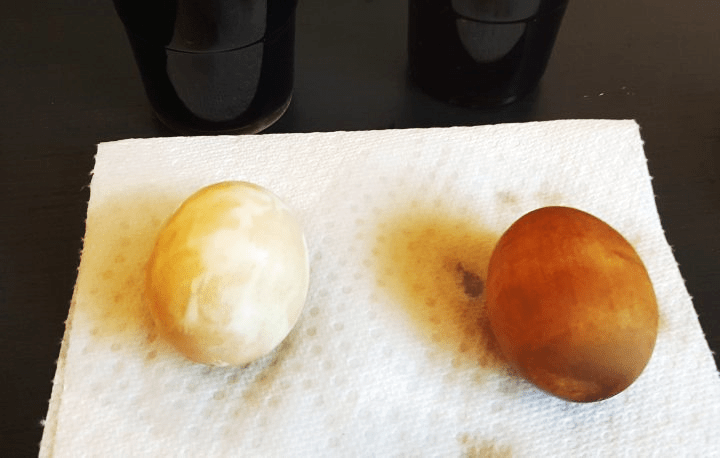 cool science experiments for kids to do at home to show two eggs.  One brown and one white.