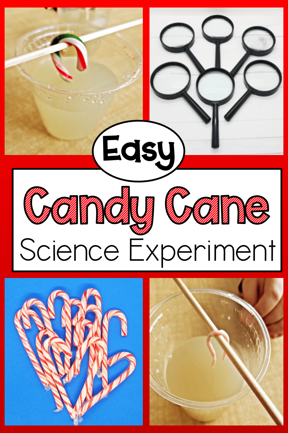 Easy Science Projects with Candy Canes HandsOn Teaching Ideas