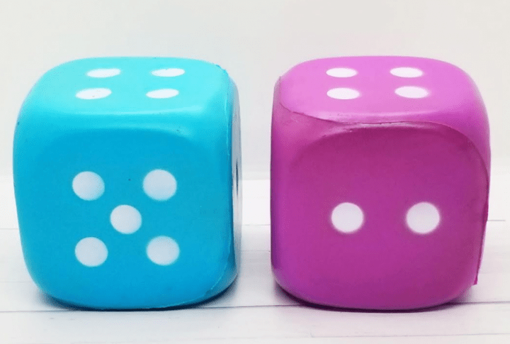 number talks shows two dice.