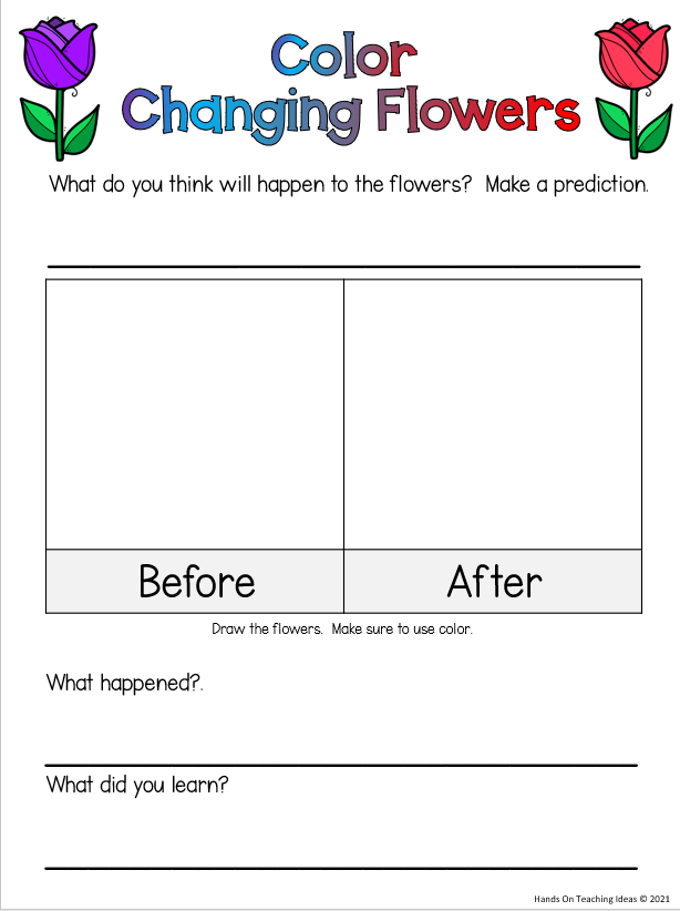 Simple Science Experiments and Worksheet - Hands-On Teaching Ideas