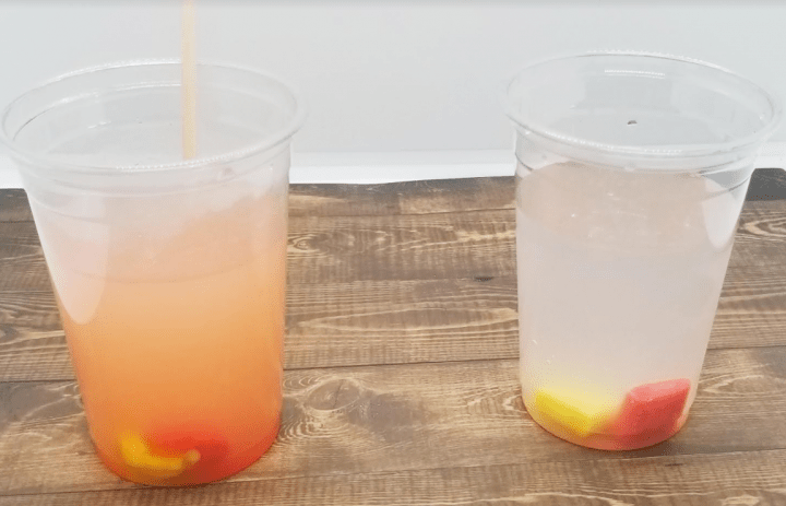 science experiments for kids shows two cups with melting candy in each.