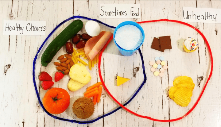 food pyramid shows two circles with food in the circles