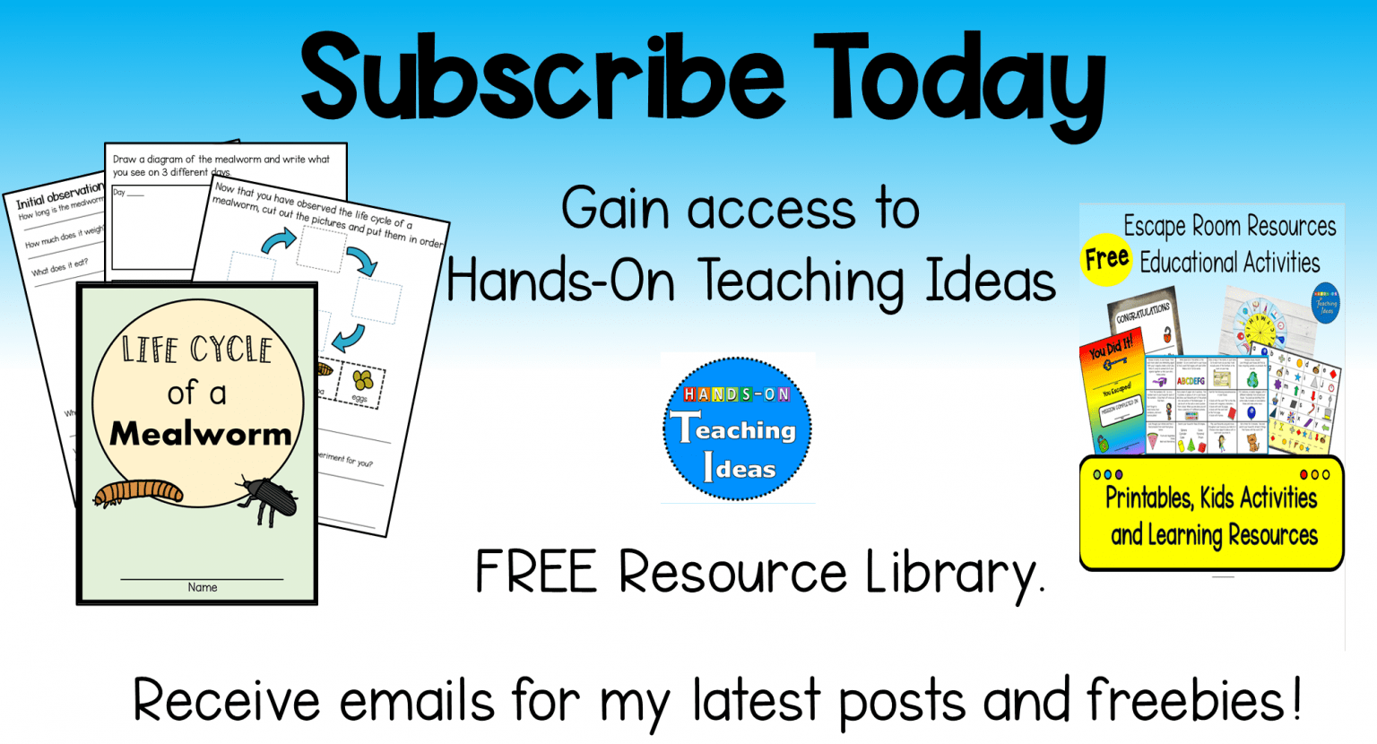 Exciting Grade 2 Science Mealworm Experiments