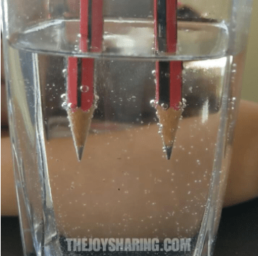 science experiments for kids shows a cup with two pencils sticking in it.