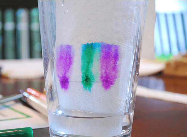 science experiments for kids shows a cup with water and paper towel with colors running on them.