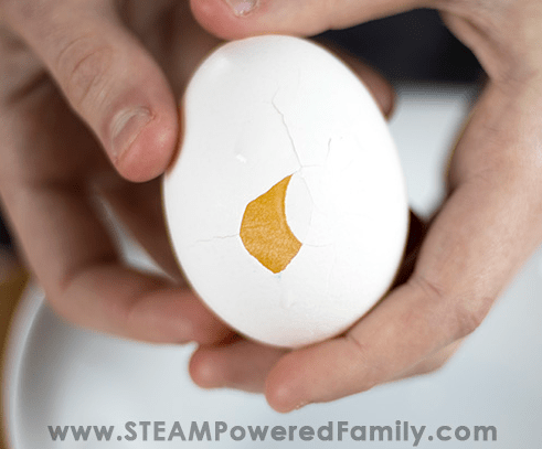 science experiments for kids at home for kids shows a cracked egg.