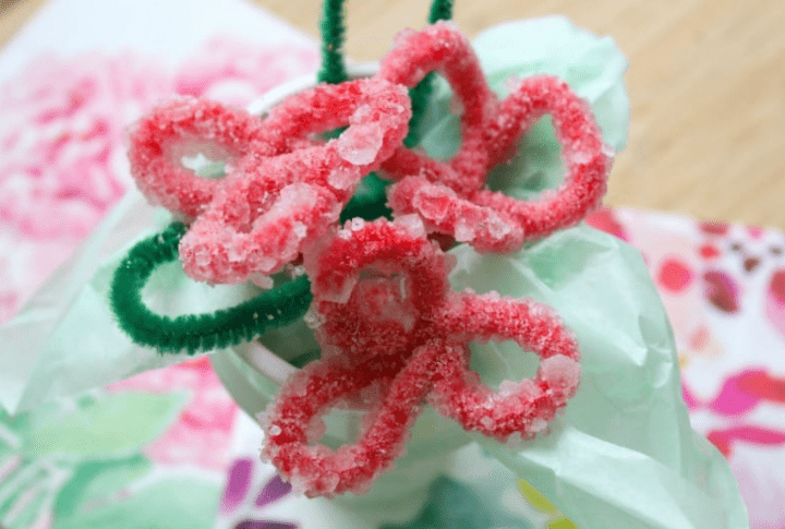 stem shows a crystalized flower.