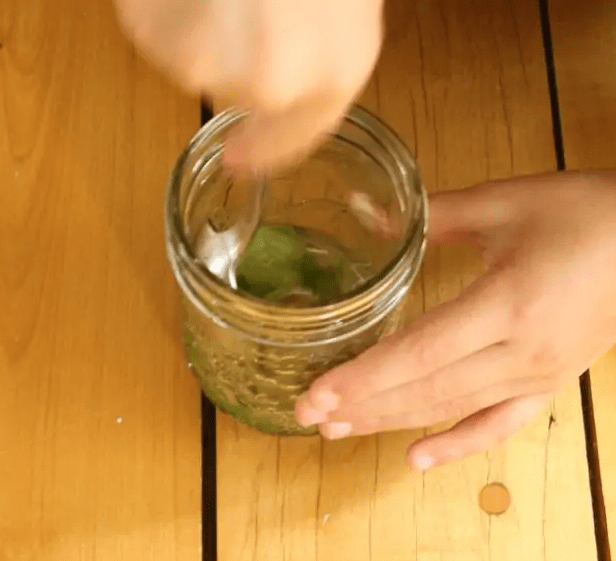 science experiments for kids shows a child crushing a leaf in a cup with water.