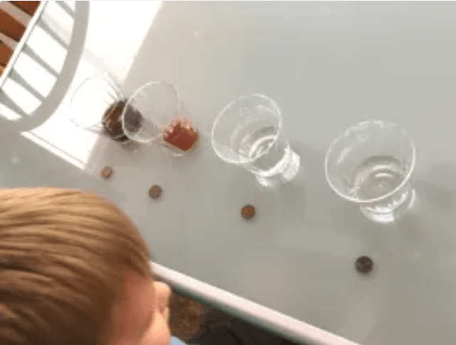science experiments for kids at home shows a child looking at four clear cups and pennies.