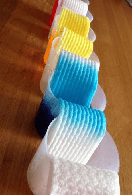 science experiments for kids shows cups with different colors of water and paper towel connecting them.
