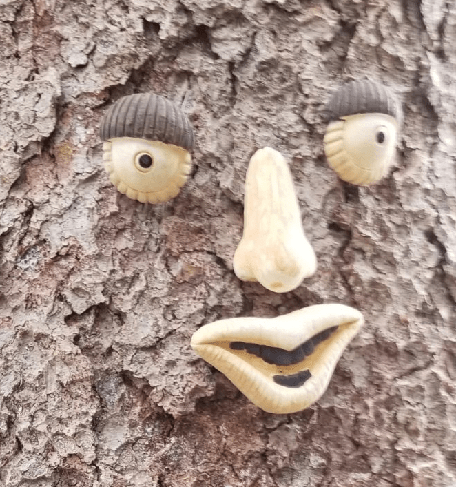 outdoor learning shows a face on a tree