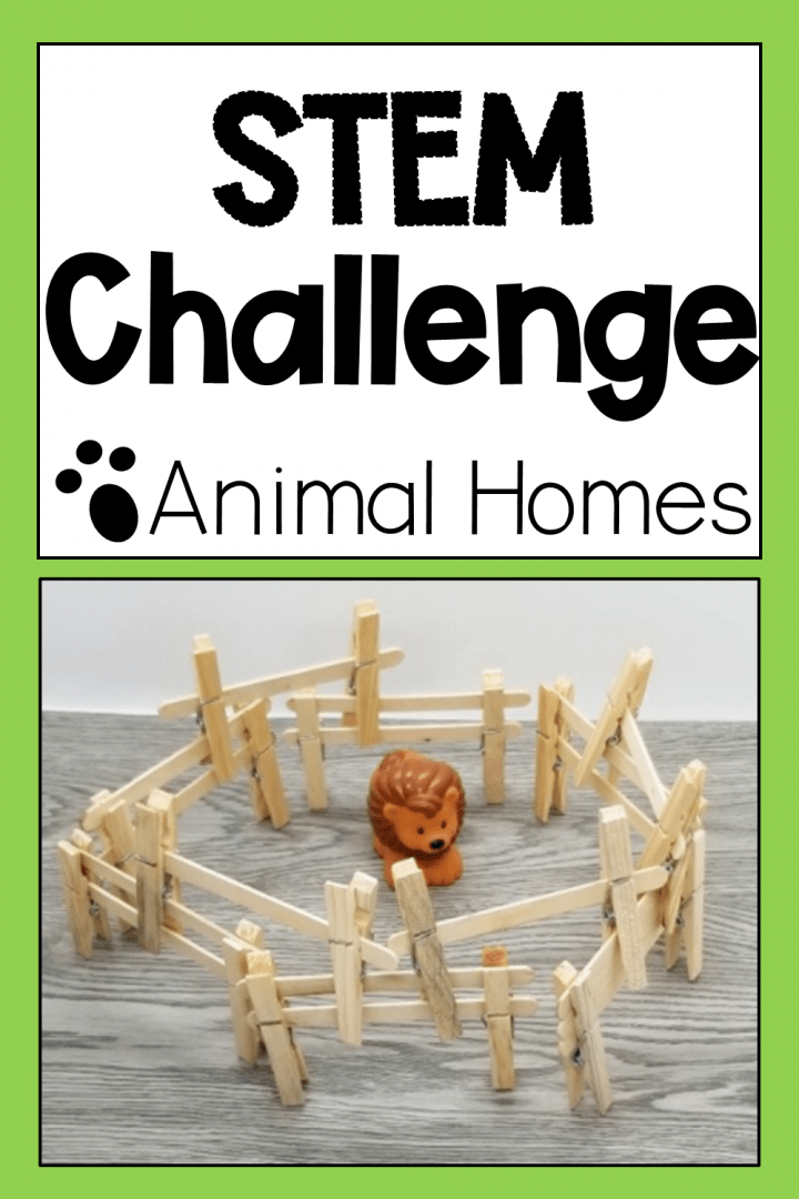 STEM for kids shows a plastic lion toy inside a popsicle stick house.