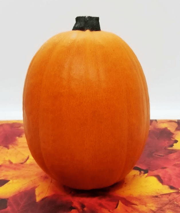 science experiment for kids shows a pumpkin.