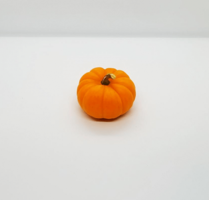 pumpkin activity for kids shows a mini pumpkin.
