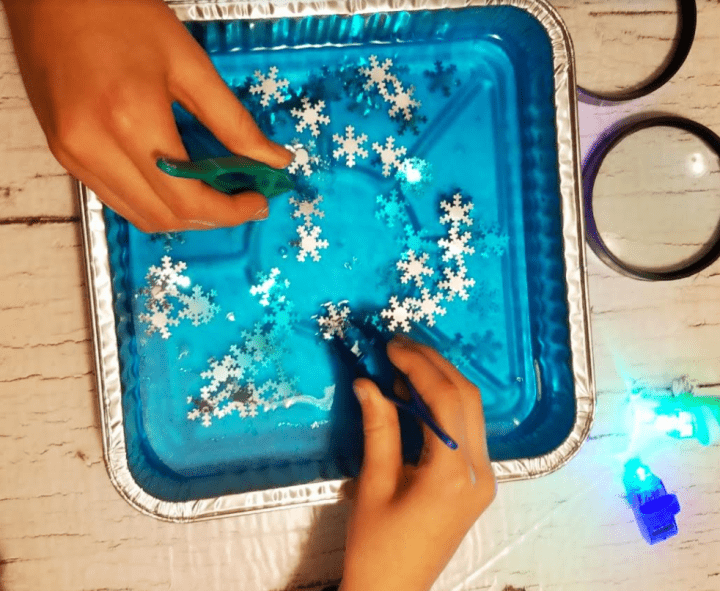 science experiment shows a tray of blue jello and kids picking stuff out of it with tweezers.