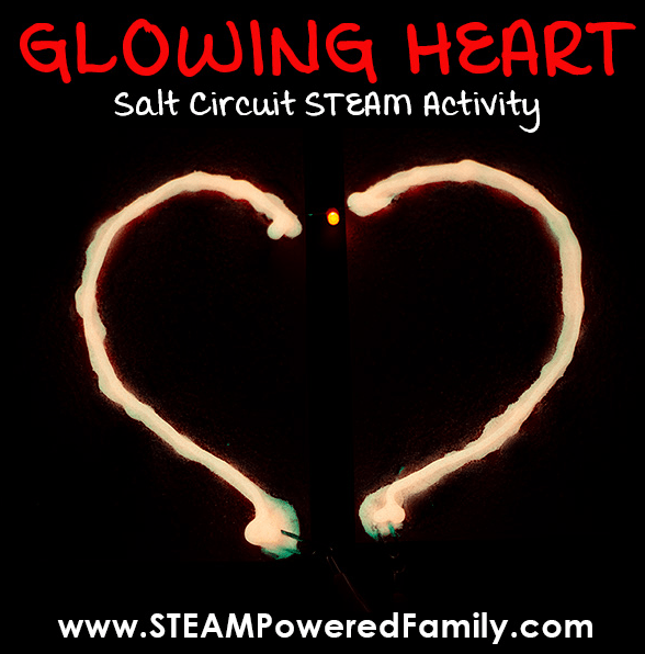 stem activity two parts of a heart made with salt