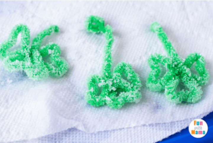 science experiment showing three green crystalized pipe cleaners.