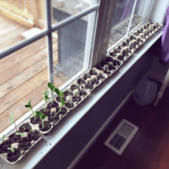 35 Easy Spring STEM Activities - Hands-On Teaching Ideas