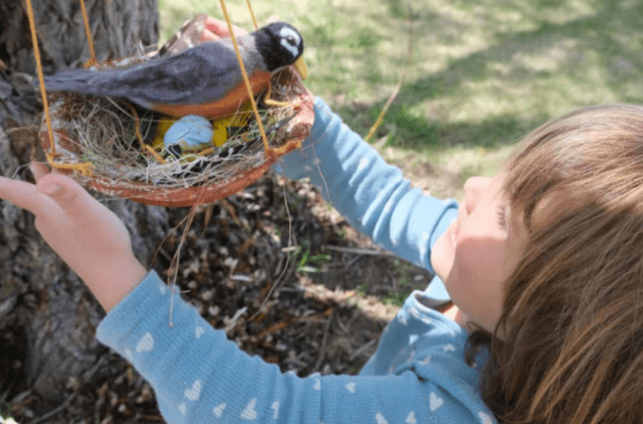 spring outdoor learning activities shows a child looking at a robin and its nest that has been handmade